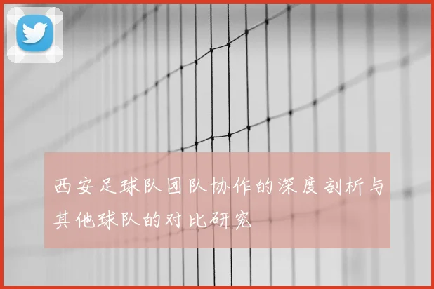 西安足球队团队协作的深度剖析与其他球队的对比研究
