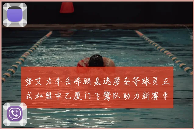 努艾力李岳峰顾嘉逸廖垒等球员正式加盟中乙厦门飞鹭队助力新赛季