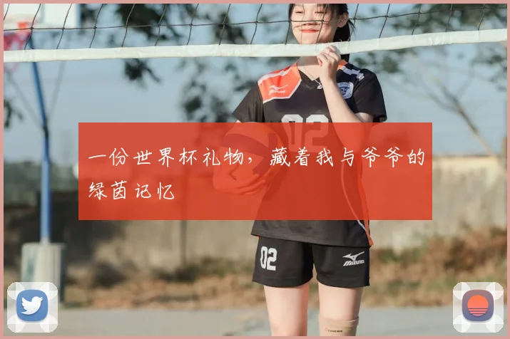一份世界杯礼物,藏着我与爷爷的绿茵记忆