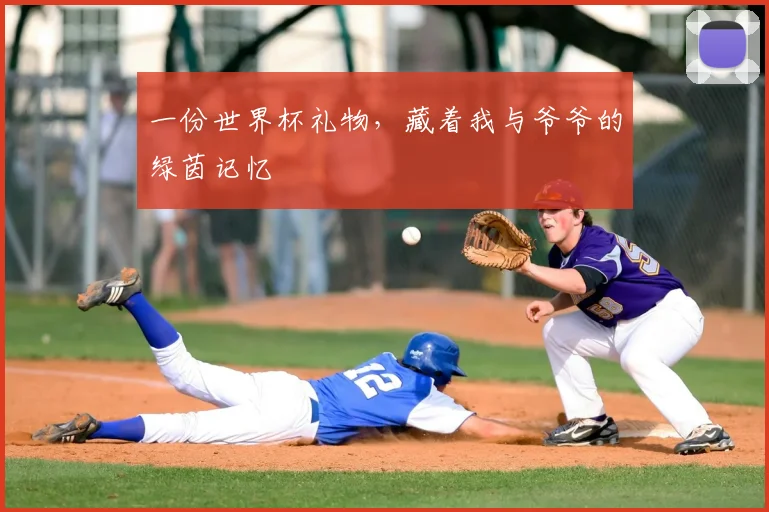 一份世界杯礼物,藏着我与爷爷的绿茵记忆