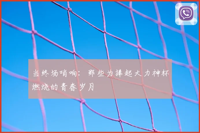 当终场哨响：那些为捧起大力神杯燃烧的青春岁月