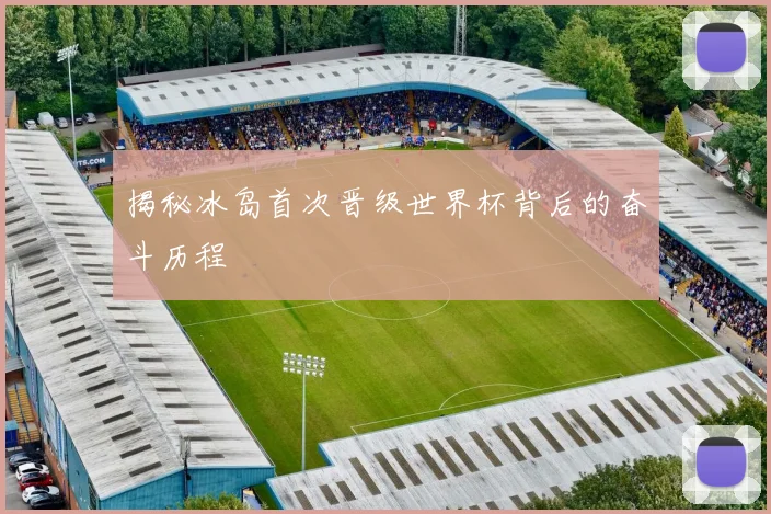 揭秘冰岛首次晋级世界杯背后的奋斗历程