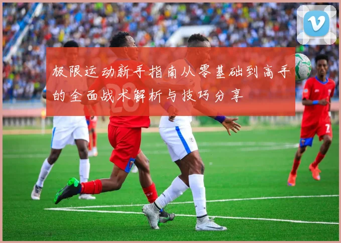极限运动新手指南从零基础到高手的全面战术解析与技巧分享