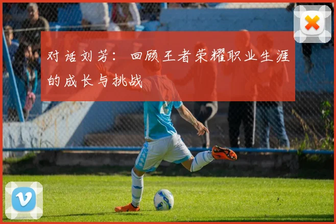 对话刘芳：回顾王者荣耀职业生涯的成长与挑战