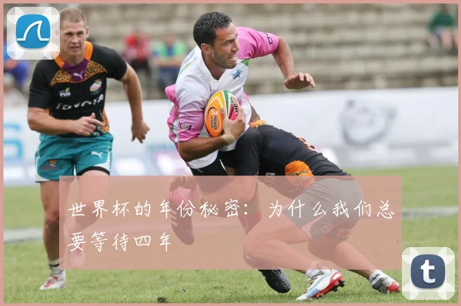 世界杯的年份秘密：为什么我们总要等待四年