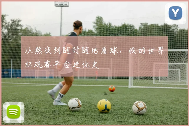 从熬夜到随时随地看球,我的世界杯观赛平台进化史